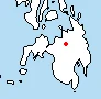 Mindanao Pygmy Fruit Bat