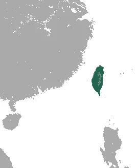 Taiwanese Mole Shrew
