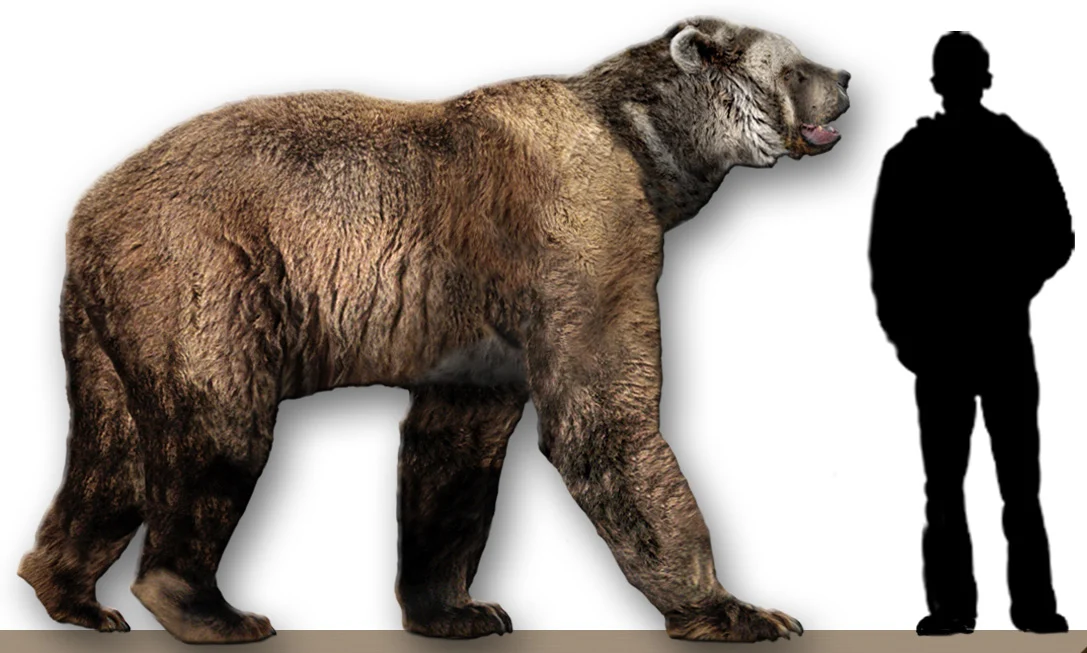 giant short-faced bear