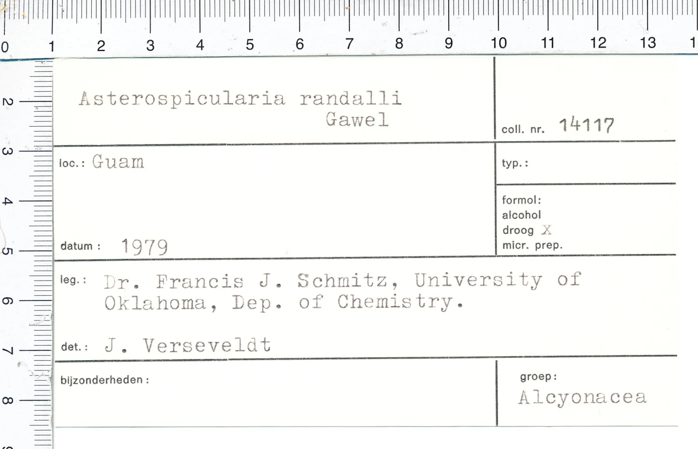 Asterospicularia randalli