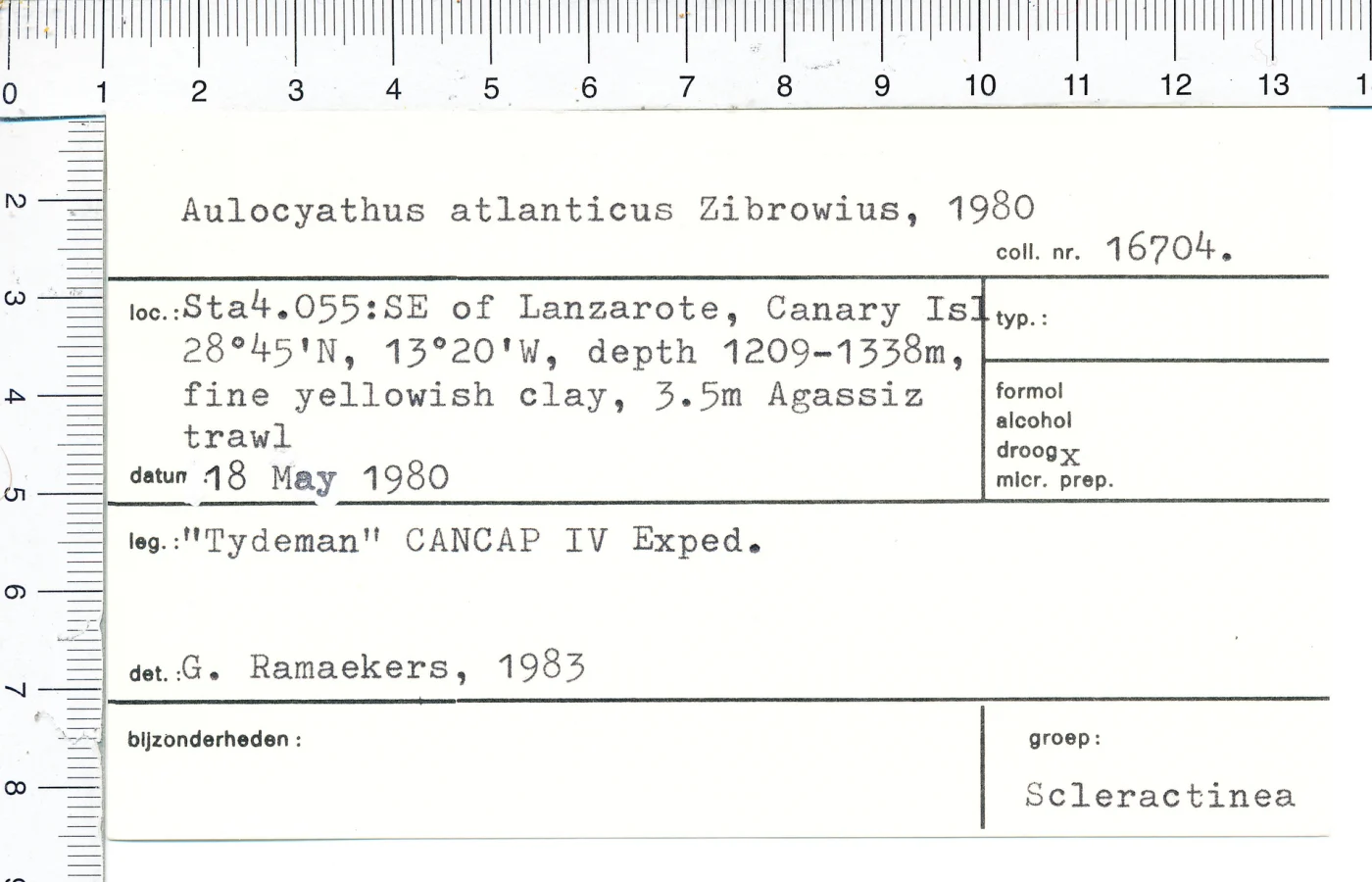 Aulocyathus atlanticus
