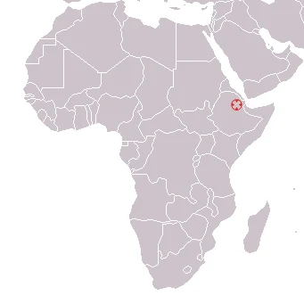 Australopithecus afarensis