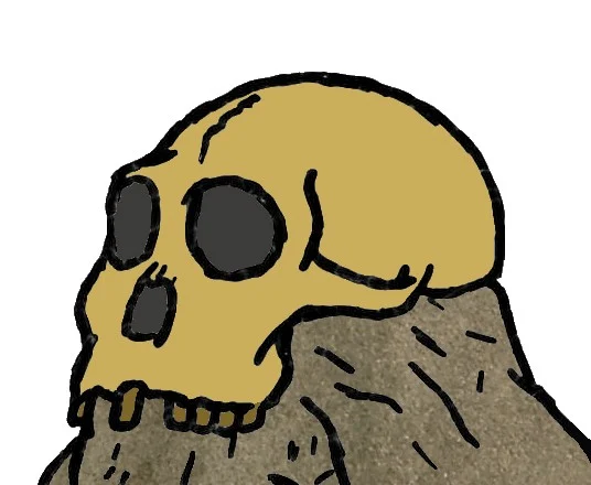 Australopithecus sediba