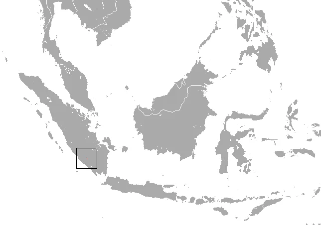 Sumatra