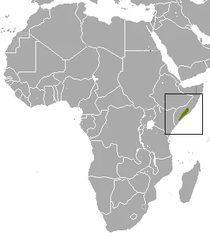 Greenwood's Shrew
