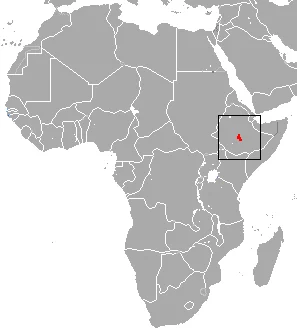 LLucina’s White-toothed Shrew