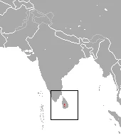 Sri Lankan Long-tailed Shrew