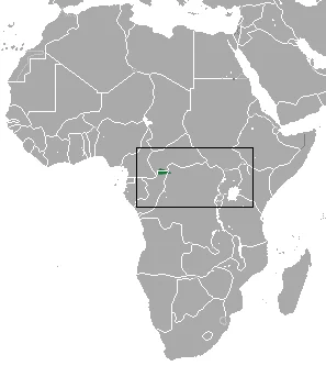 Uganda Large-toothed Shrew