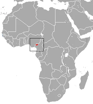 Assumbo Shrew
