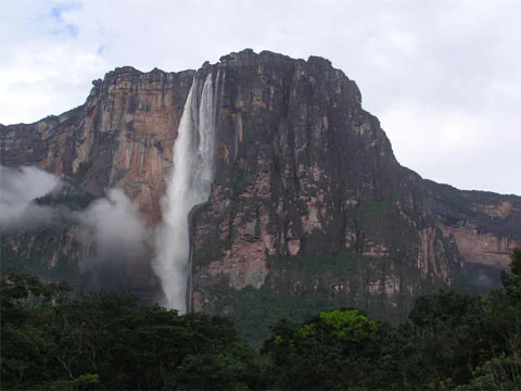 Tepui Tinamou