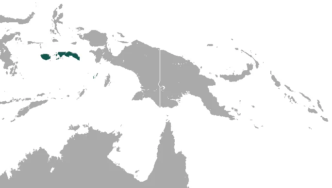 Greenish Naked-backed Fruit Bat