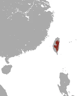Taiwan Brown-toothed Shrew