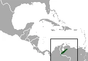 Wood Sprite Gracile Mouse Opossum