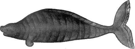 Steller's Sea Cow