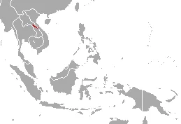 Long-eared Gymnure