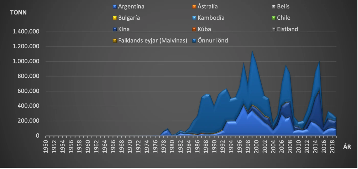 Argentine Squid