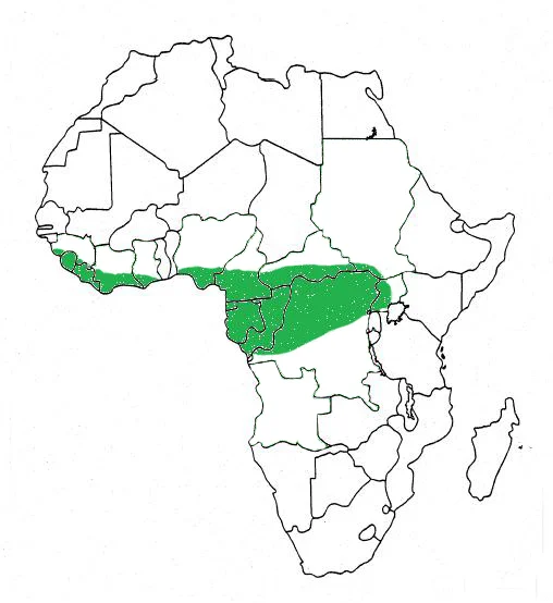 ADKI