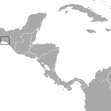 Tehuantepec Hare