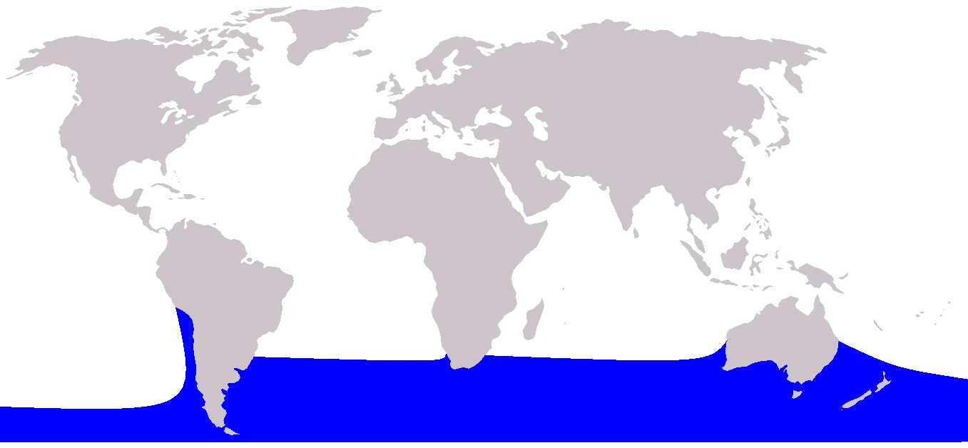 Mealy-mouthed Porpoise