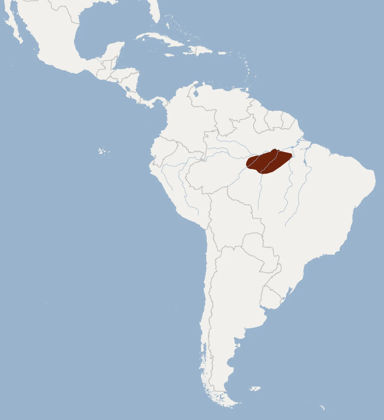 Tuft-tailed Spiny Tree Rat