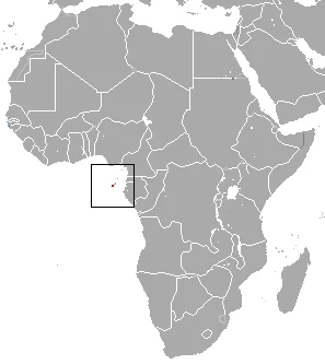 Sao Tome Collared Fruit Bat