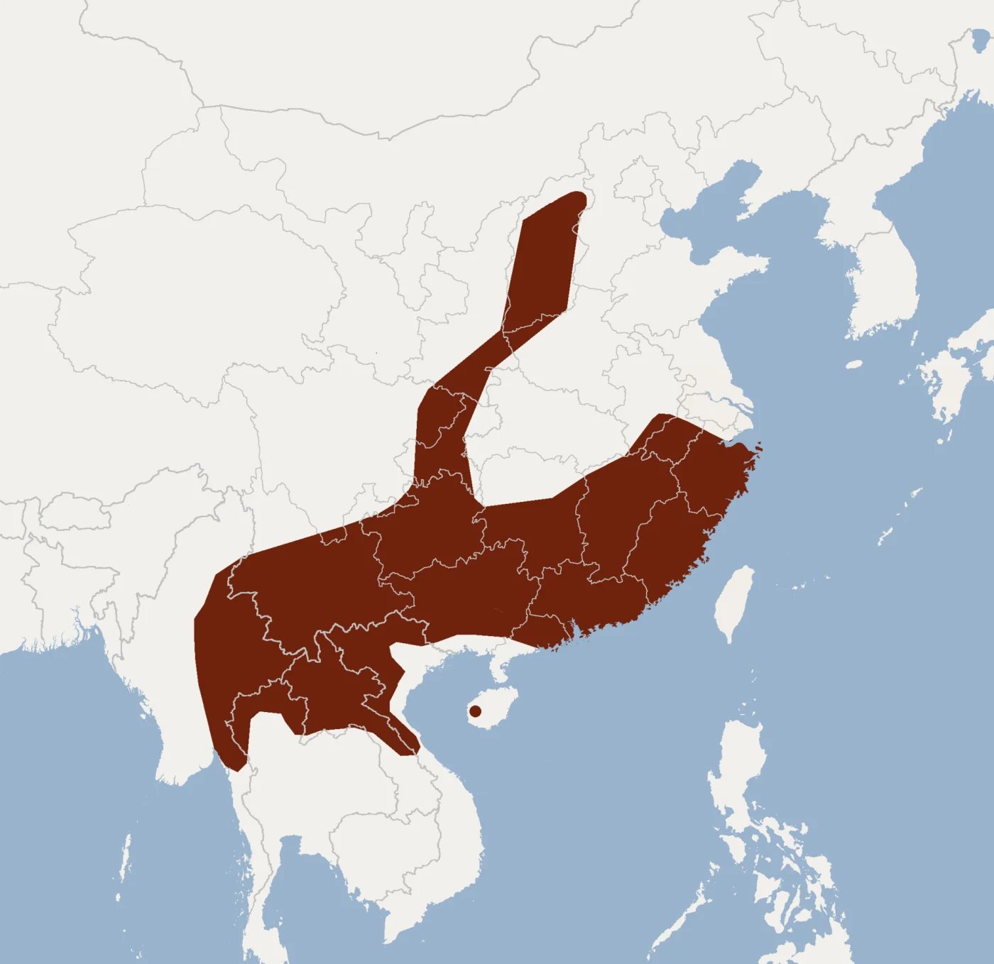 Large Myotis