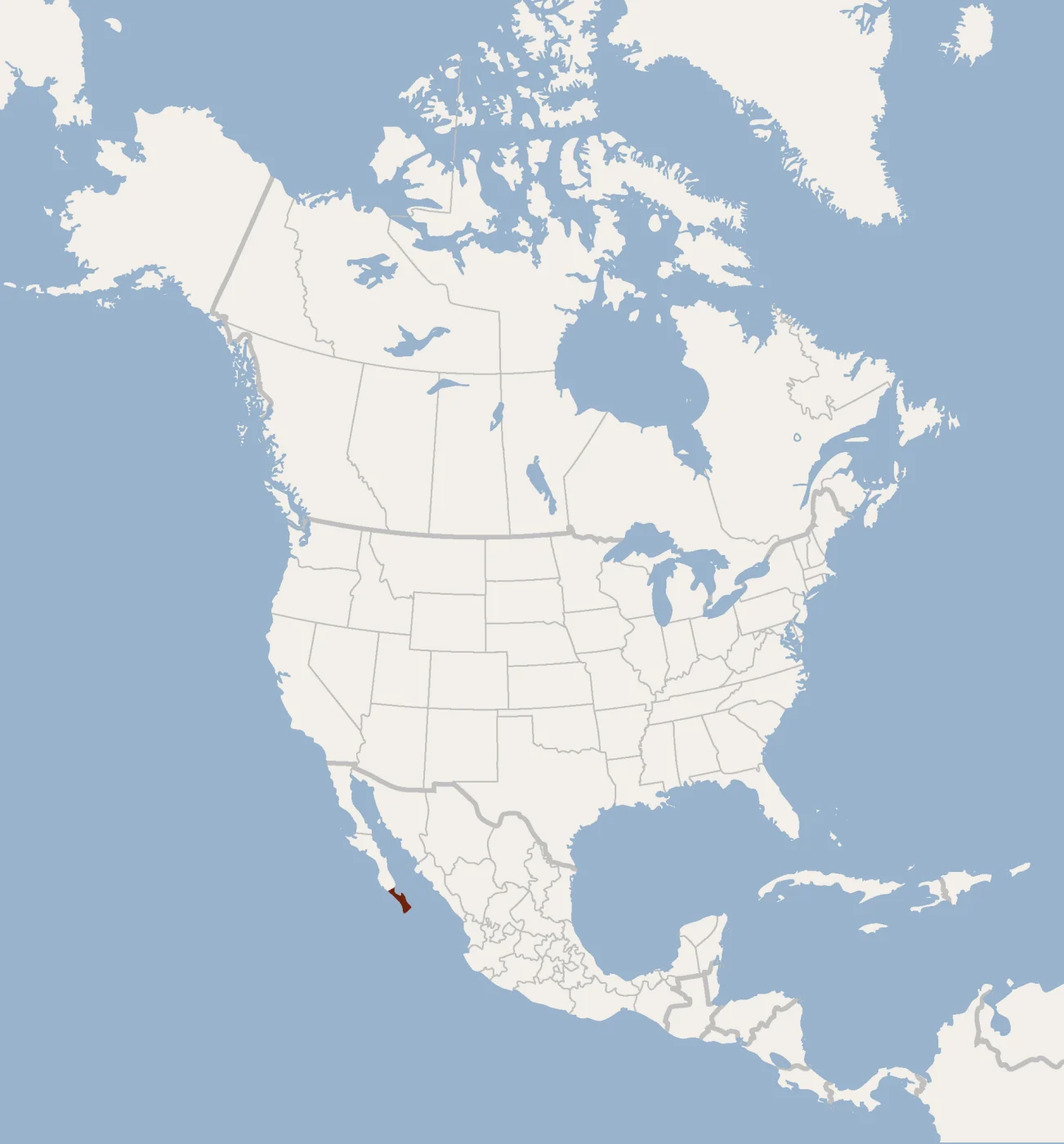 Peninsular Myotis