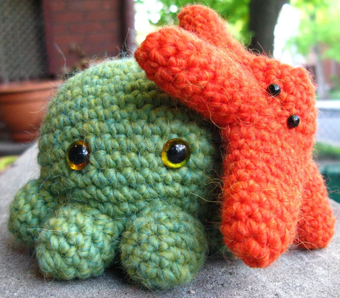 octopus starfish