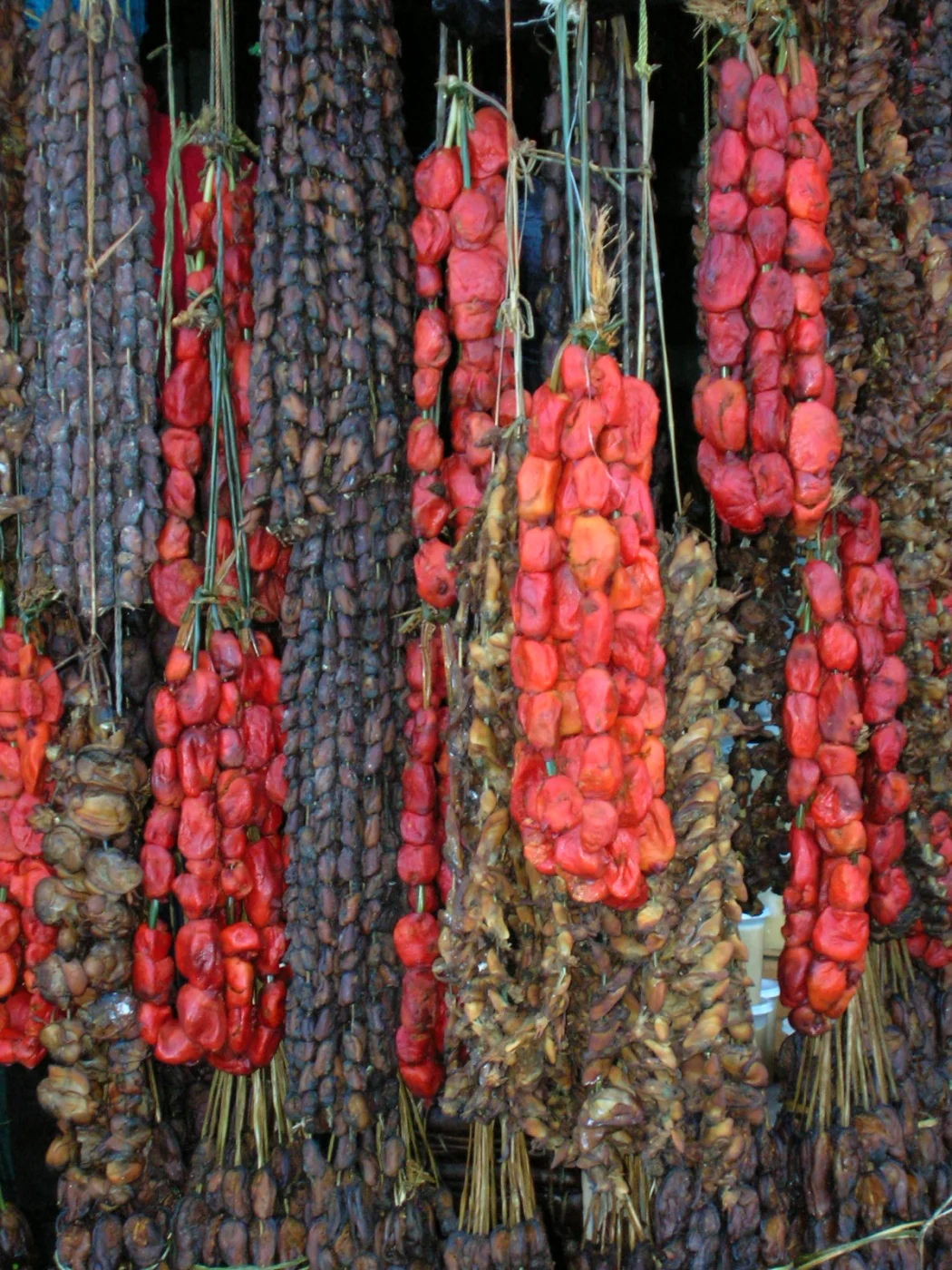 red sea squirt