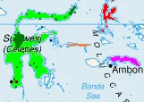 Sula Archipelago Rat