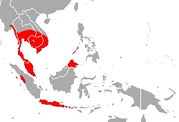 Accuminate Horseshoe Bat