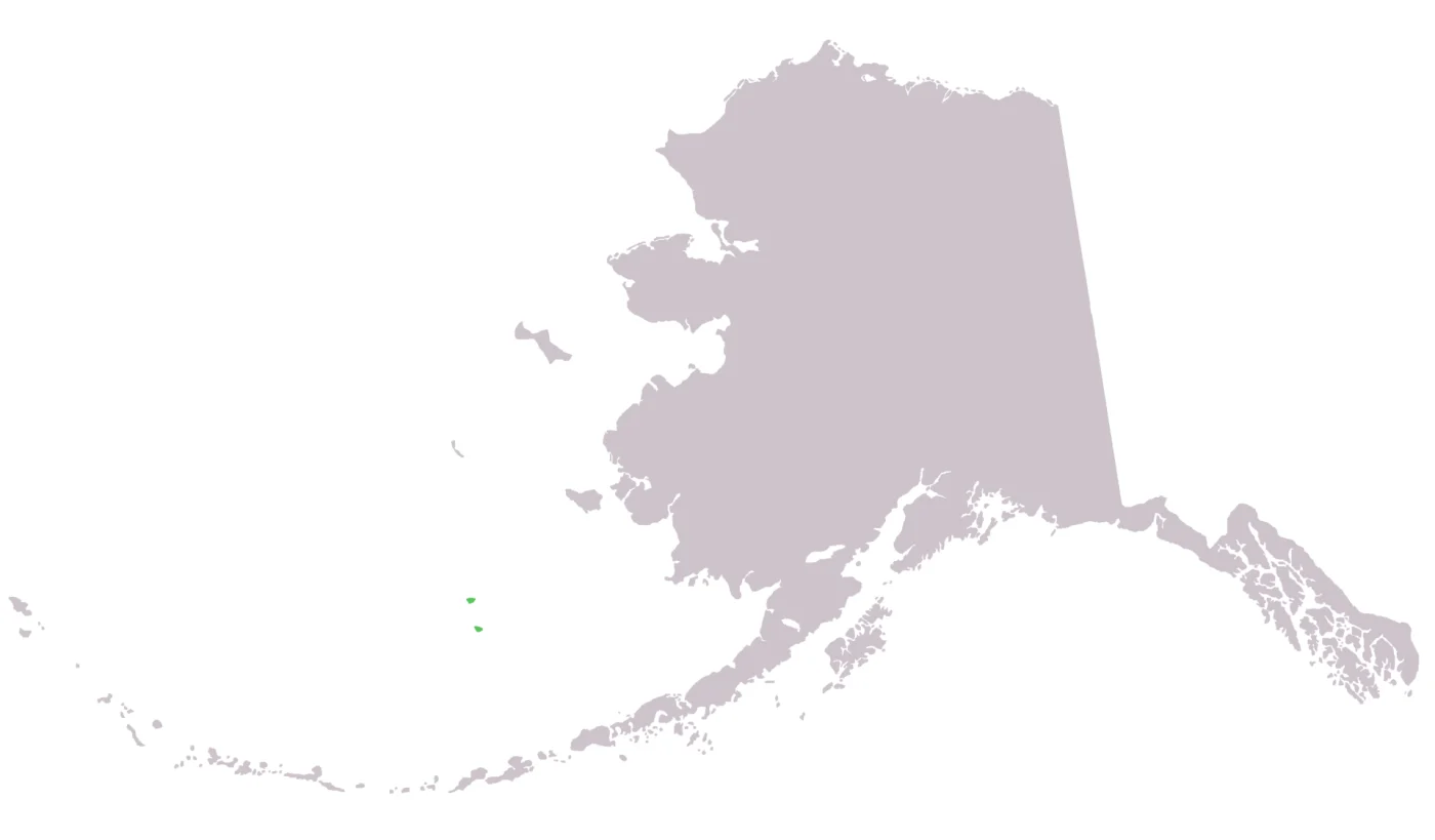 Pribilof Island Shrew