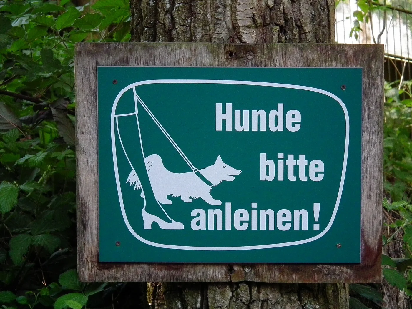 Bergierpark Erlenbach