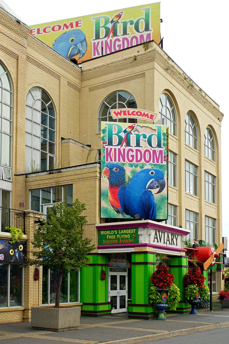 Bird Kingdom
