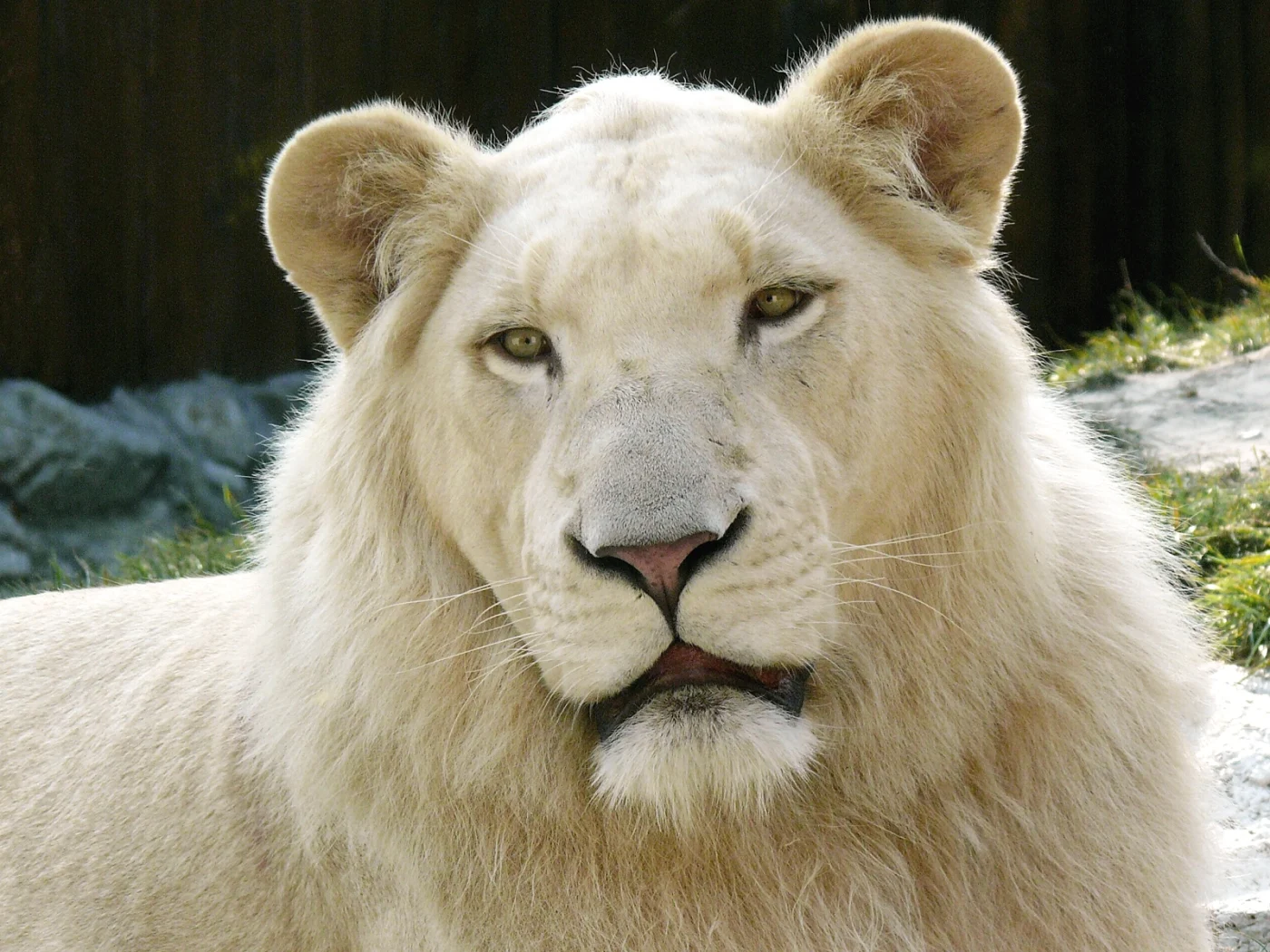 Bratislava Zoo