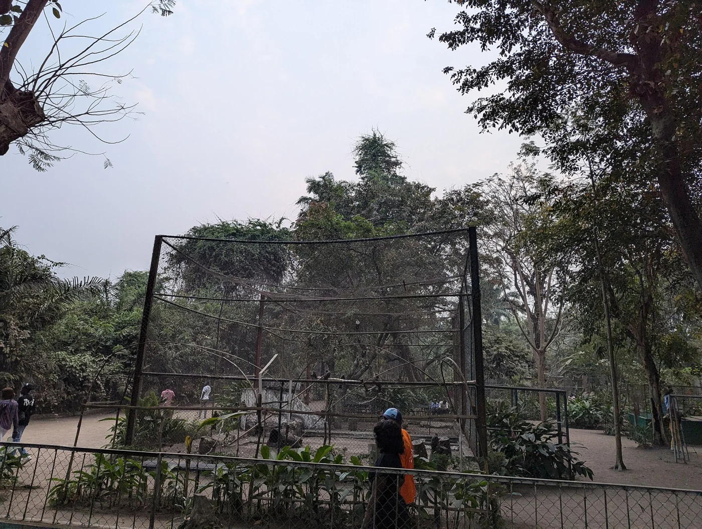 Brazzaville Zoo