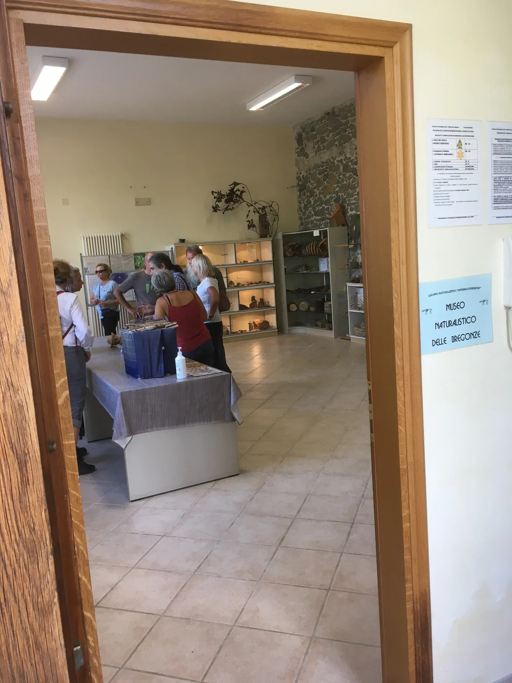 Bregonze Natural Museum