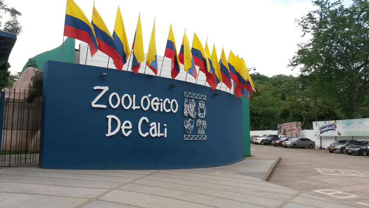 Cali Zoo