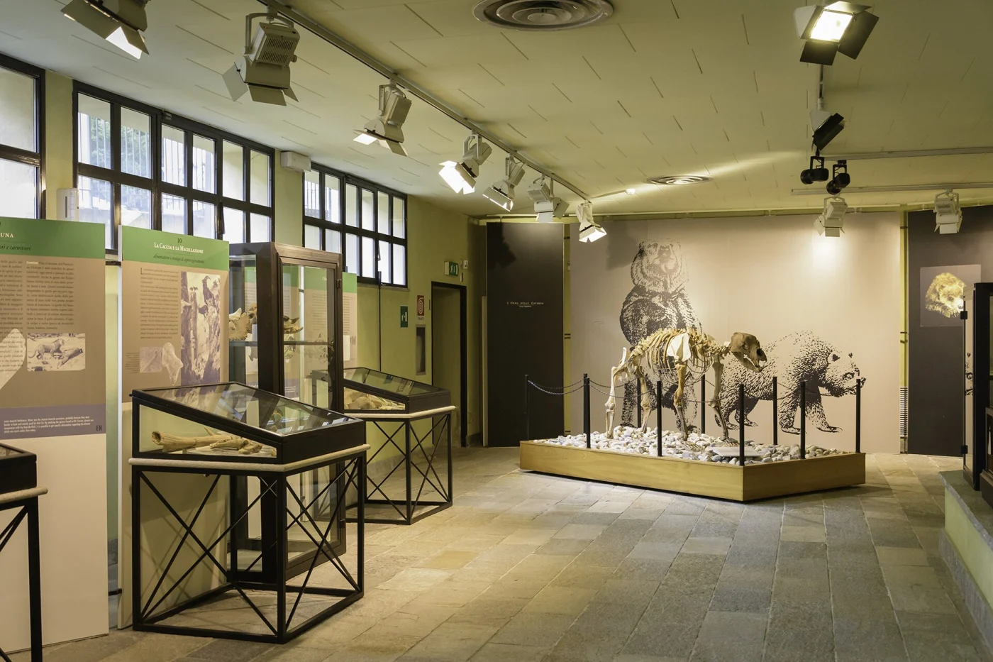 Carlo Conti Archaeological and Pale-ontological Museum