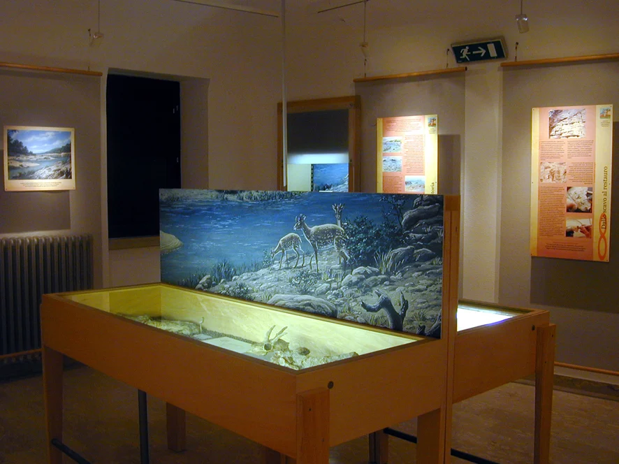 Centro museale di documentazione e ricerca scientifica di paleontologia