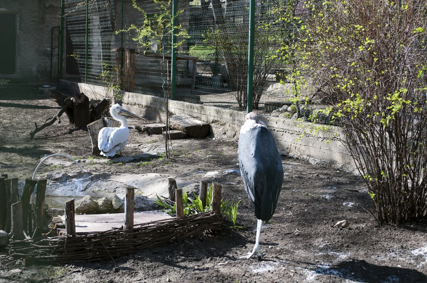 Chișinău Zoo