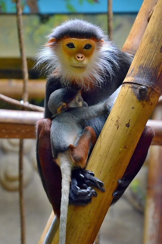 Chleby Zoo