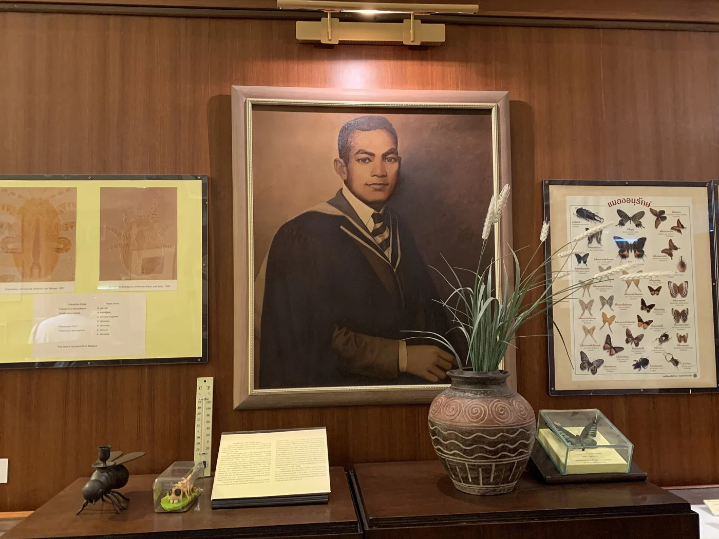 Chulalongkorn University Museum of Natural History