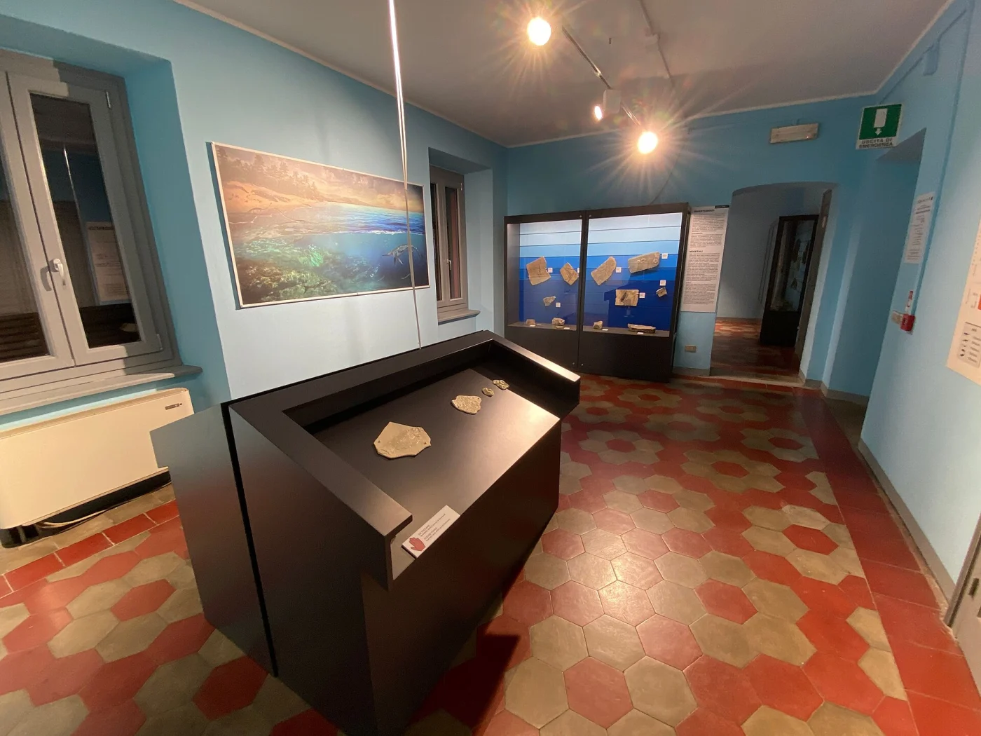 Civic Museum of Fossils of Besano