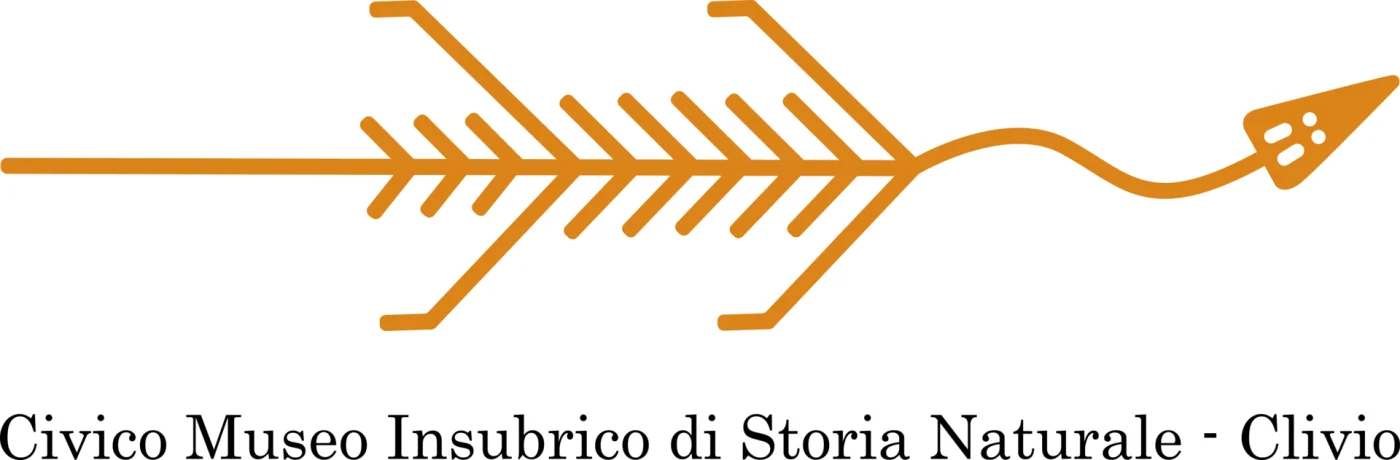 Civico Museo Insubrico di Storia Naturale