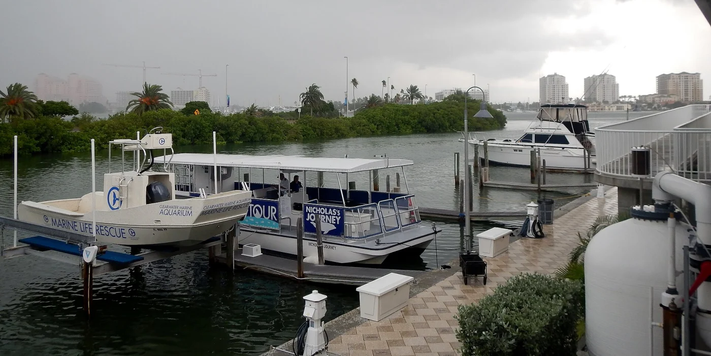 Clearwater Marine Aquarium