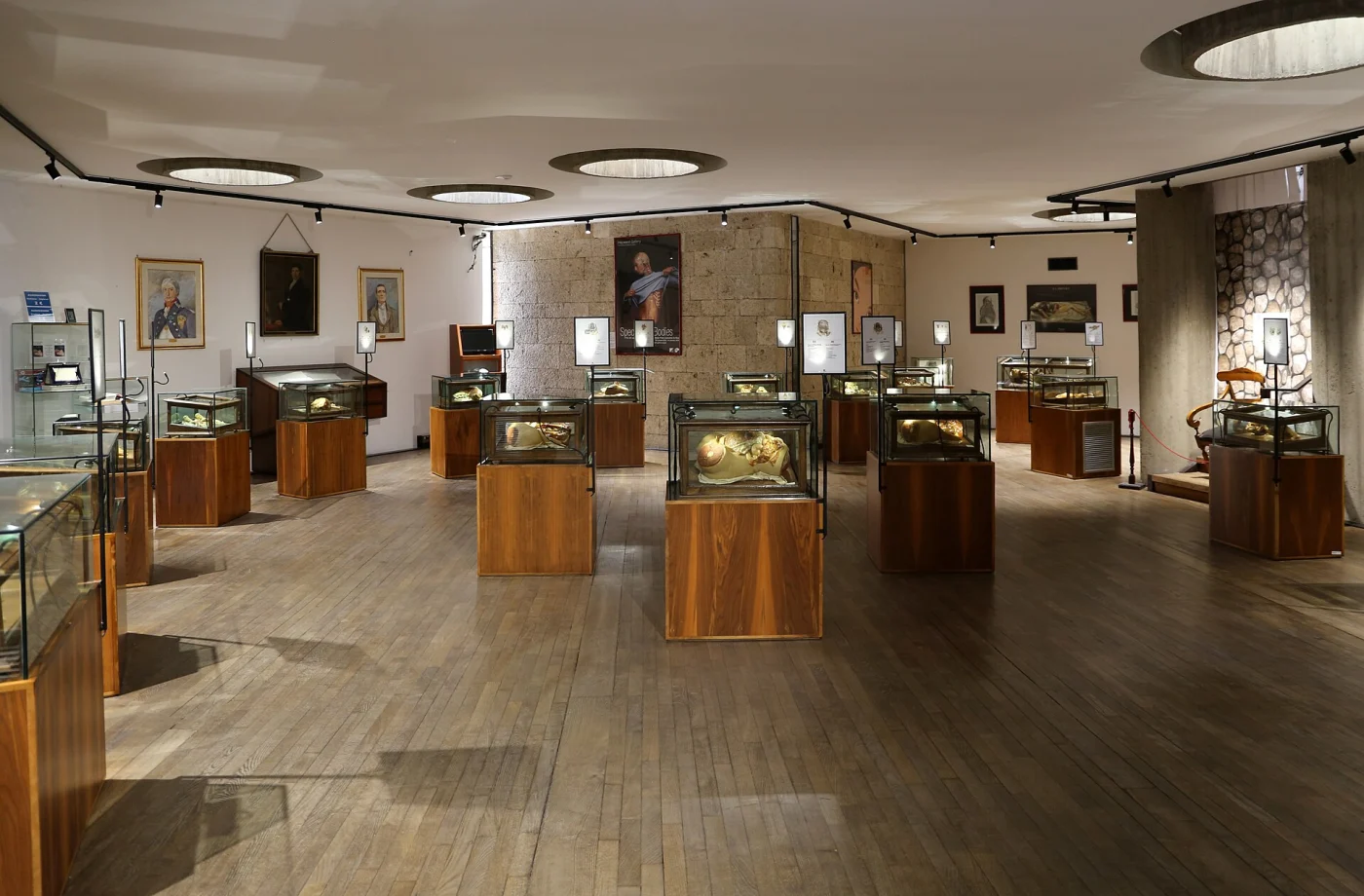 Clemente Susini's wax anatomical models