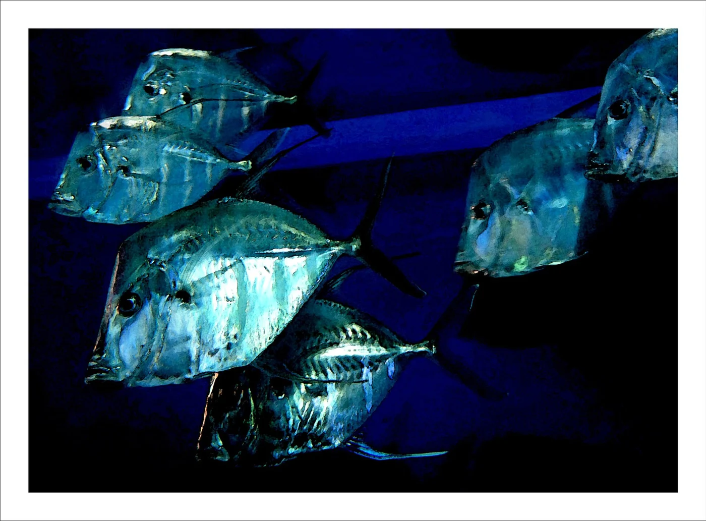 Cleveland Aquarium