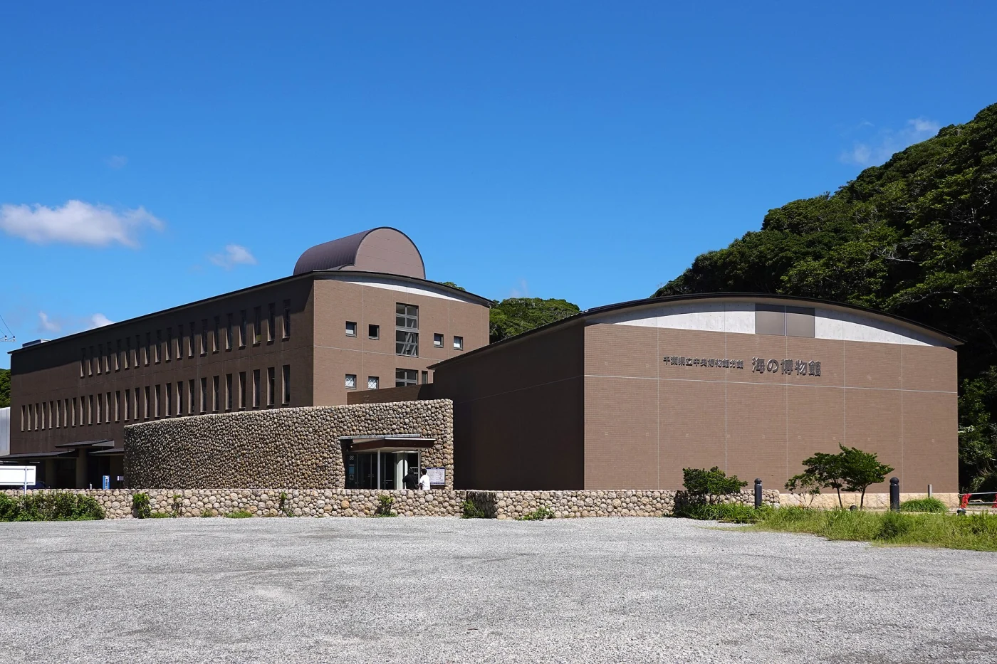 Coastal Branch of Natural History Museum and Institute, Chiba