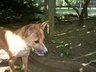Cohanzick Zoo